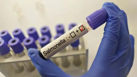 Taylor Farms retira 20 productos por posible contaminación con salmonela