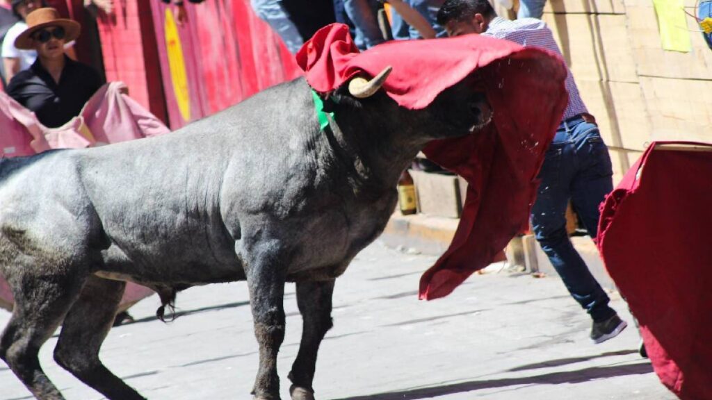 sube-a-dos-el-numero-de-muertos-por-la-huamantlada-2026
