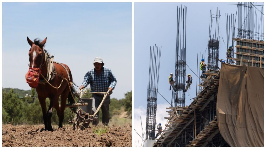 Trabajadores del campo disminuyen, mientras crecen los de construcción