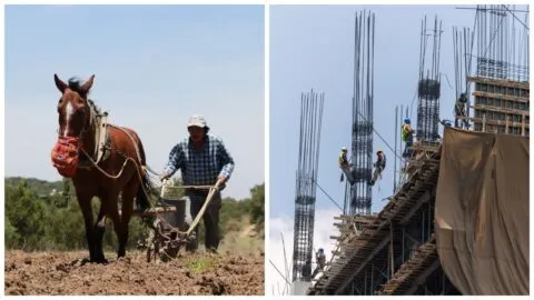México pierde trabajadores agrícolas mientras crece la construcción: 279 mil menos en el campo y 523 mil más en obras