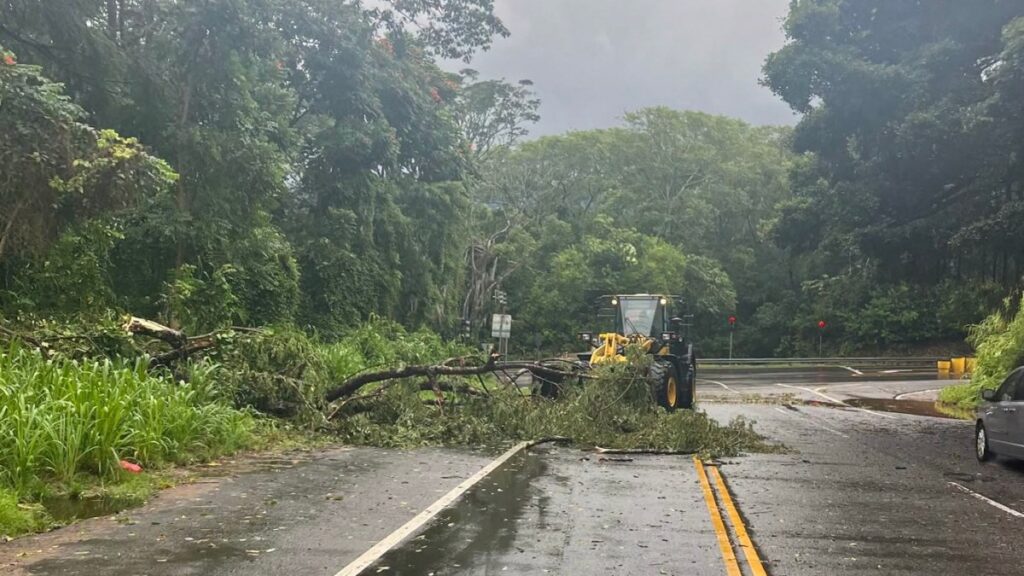 Tras paso de Lala, Isla Grande de Hawái evalúa daños e inicia labores de limpieza