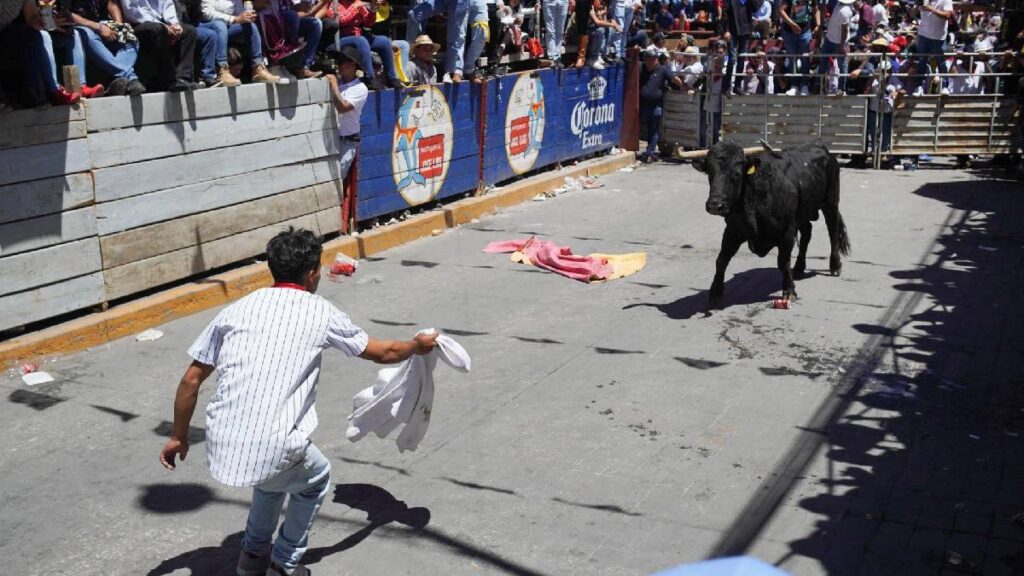 video-toro-embiste-a-adulto-mayor-en-pamplonada-de-atoyatempan-puebla