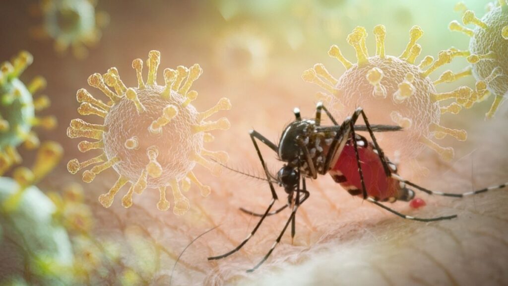 El caso se detectó mientras el virus circula en mosquitos de los cinco condados de la ciudad y la actividad alcanza sus niveles más altos de la temporada