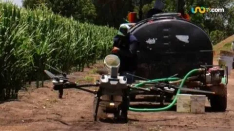 Activan el primer campo con agricultura regenerativa en México