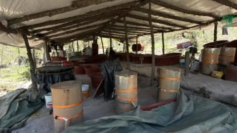 Desmantelan laboratorio clandestino de drogas sintéticas en la Sierra de Fresnillo