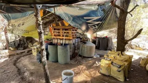 Buscan más complejos delictivos tras localizar laboratorio de metanfetaminas en Fresnillo