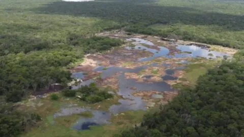 Comunidad maya denuncia nuevas obras de empresa avícola y desechos cerca de zona arqueológica en Tzemé, Yucatán
