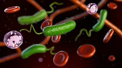 La bacteria "come carne" ya deja 10 muertos en las costas de Luisiana y Florida
