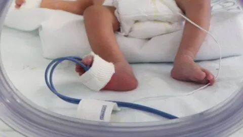 Bebés fallecidos en IMSS de Durango: 4 dieron positivo a bacteria