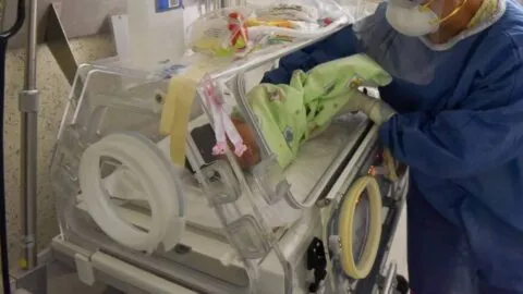 Muerte de 5 recién nacidos en IMSS de Durango: cronología y últimas noticias del caso
