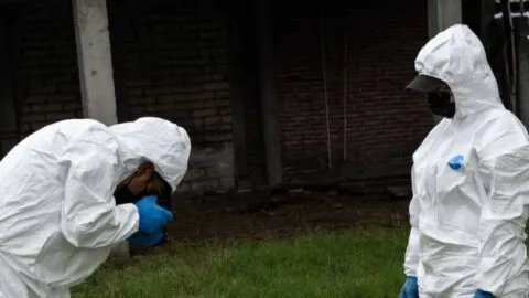 Buscadoras cuestionan manejo forense en Zacapu tras hallazgo de restos y dientes de leche