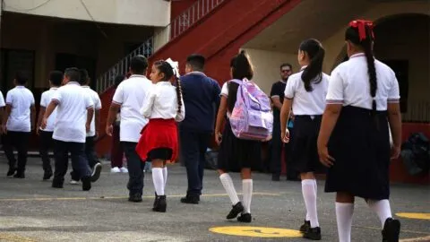 “Derecho a la sombra” en CDMX: proponen proteger a estudiantes de altas temperaturas en escuelas