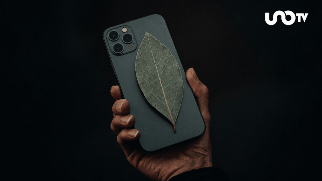¿Sirve de algo poner una hoja de laurel en tu celular?