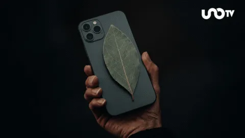 Una hoja de laurel sobre el celular: ¿para qué sirve y por qué se volvió tendencia?