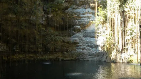 ¿La ameba detectada en Mérida puede llegar a cenotes o casas?