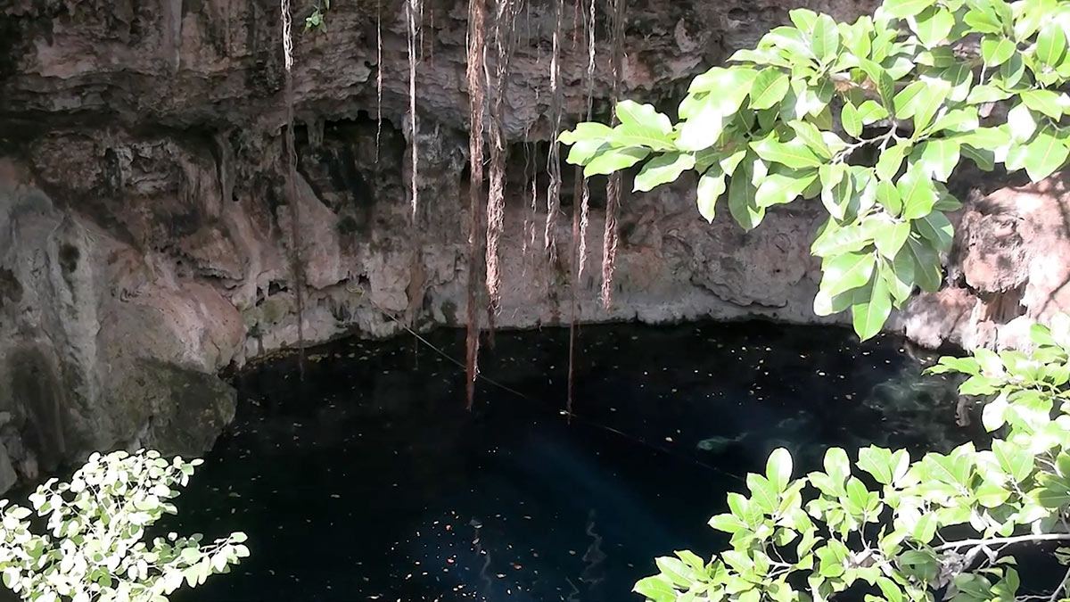 Localizan huesos de mamífero a 50 metros de profundidad en Yucatán