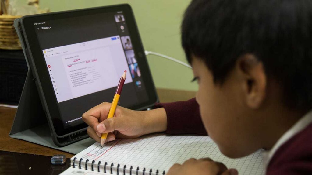 Clases Chihuahua