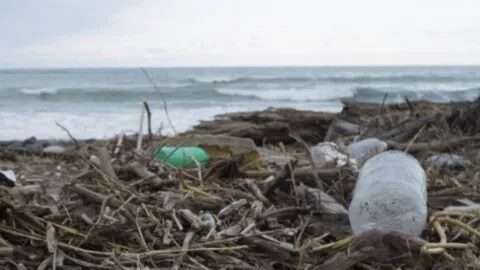 "México pierde playas por cambio climático y cuencas están contaminadas": Bárcena presenta nueva ley ambiental