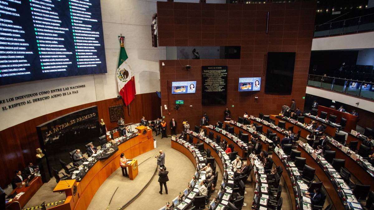Avanzan en Senado castigos por fraude con logos oficiales y piratería; excluyen memes