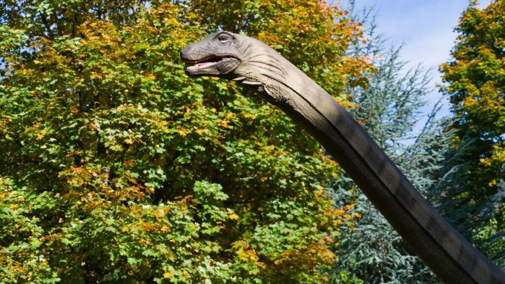 ¡Un diplodocus! Este dinosaurio también vivió en España