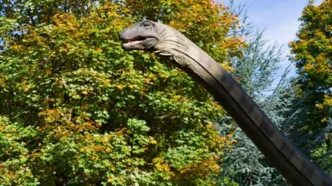 ¡Histórico! Identifican en España al primer diplodocus encontrado fuera de Norteamérica
