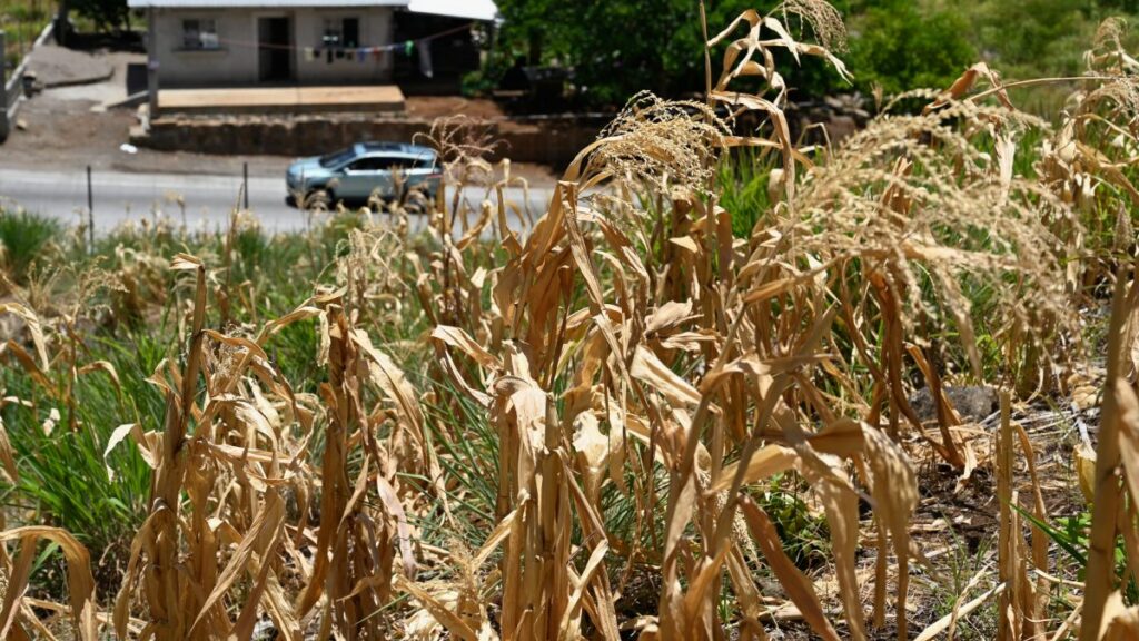 Sequía por El Niño amenaza a países de América Latina