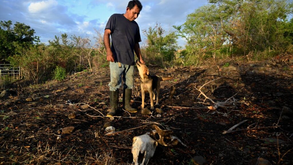 Sequía por El Niño amenaza a países de América Latina