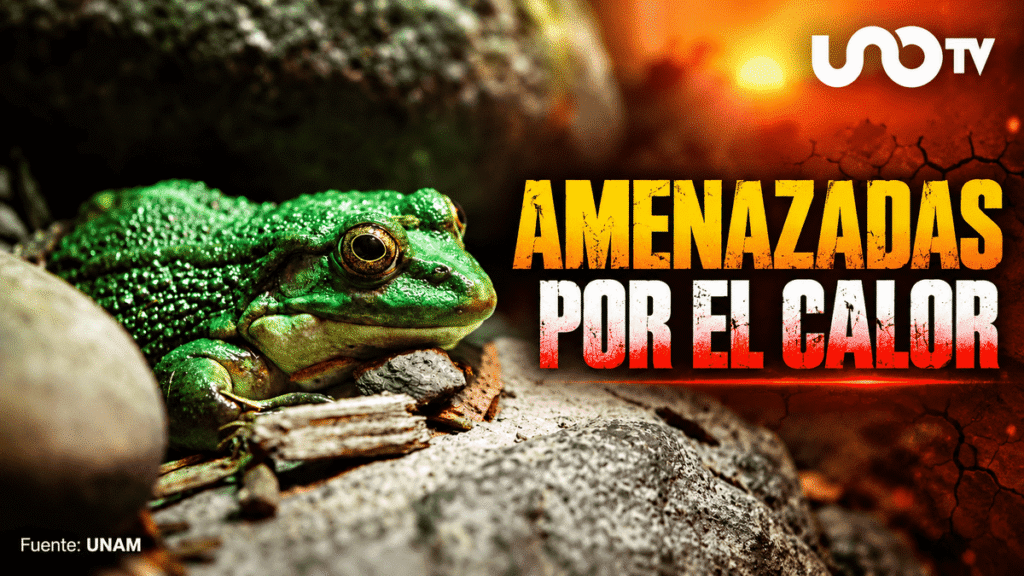 El aumento del calor en el mundo amenaza a miles de especies