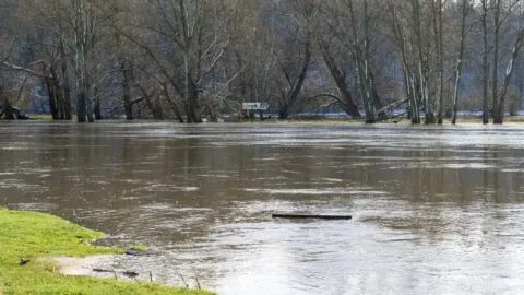 Estado de emergencia: ¿cómo podría impactar El Niño en California?