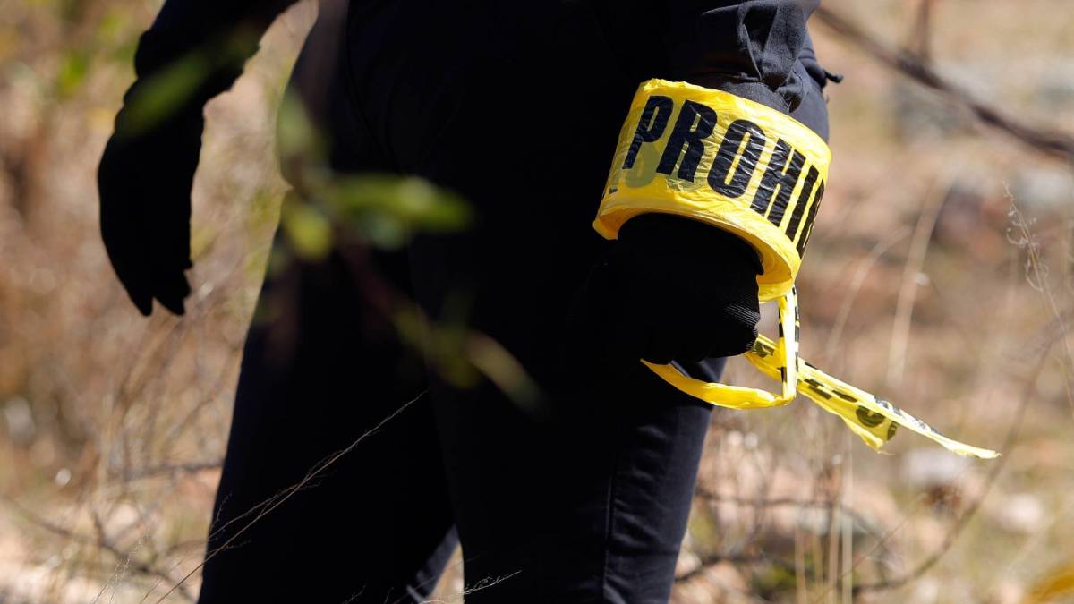 Fiscalía de Michoacán no tiene registro de mil 600 dientes de leche hallados en fosa clandestina de Zacapu