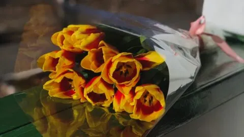 ¿Por qué se regalan flores amarillas el 21 de septiembre?