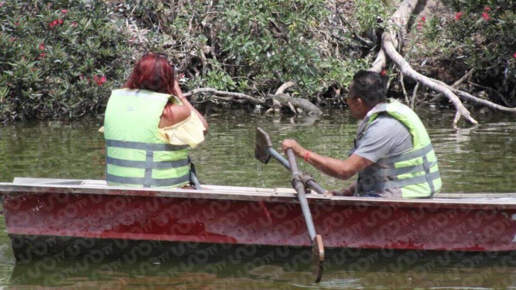 Visitantes toman fotos y videos del lagarto.