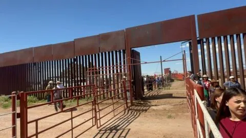 Reabren frontera de Sonora para exportación de ganado a Estados Unidos