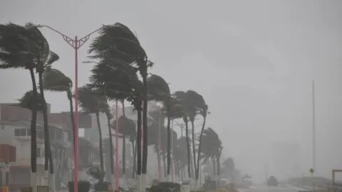 Huracán Marie: imágenes de los daños que dejó en Baja California Sur