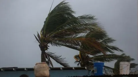 Huracán Polo se intensifica a categoría 4; prevén lluvias y oleaje alto en el Pacífico
