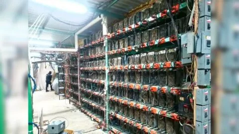 Aseguran centro de minería de criptomonedas en Tlaola, Puebla