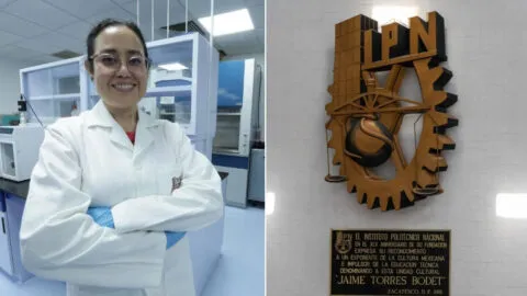 Investigadoras del IPN crean parches para heridas; así ayudarían a personas con diabetes