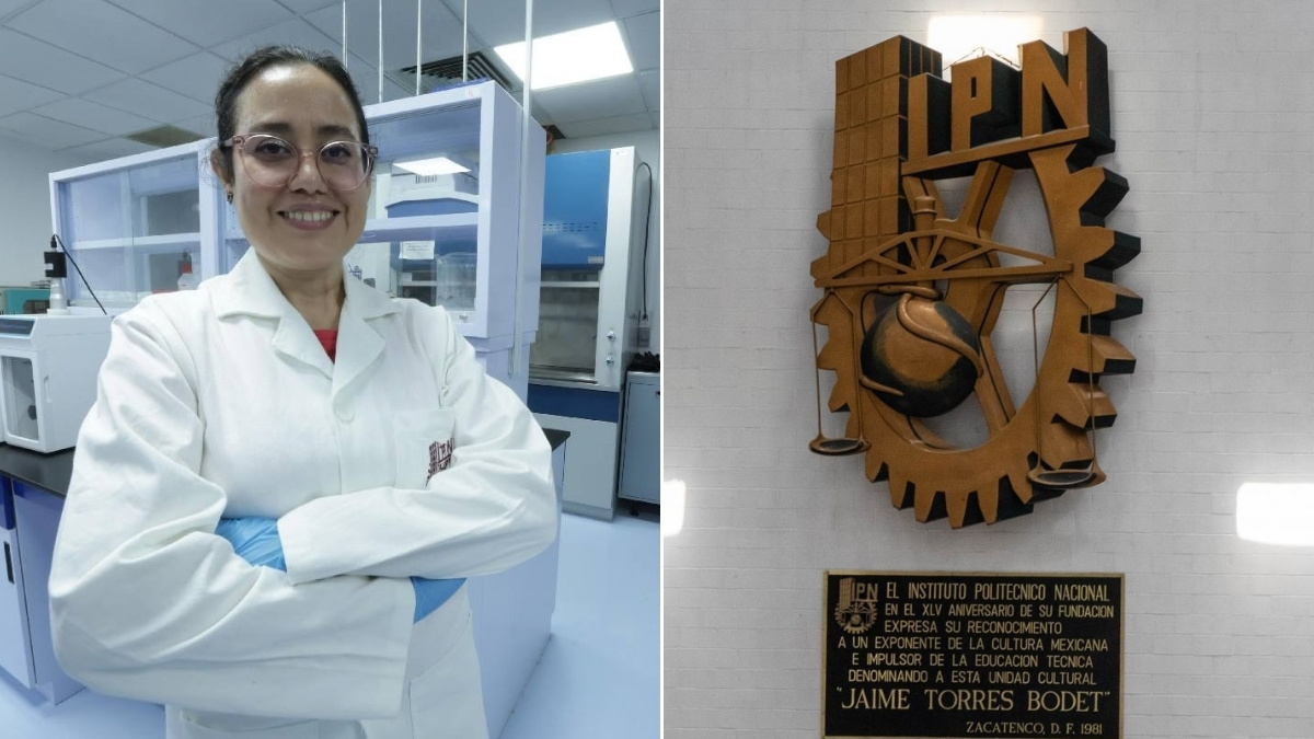 Investigadoras del IPN crean parches para heridas; así ayudarían a personas con diabetes