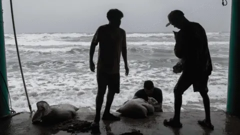 Trayectoria del huracán Polo: cuándo y de qué intensidad tocará tierra en Baja California Sur