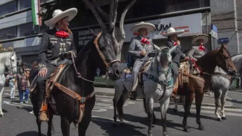 Videos: los accidentes de caballos y jinetes durante desfiles militares en CDMX y estados