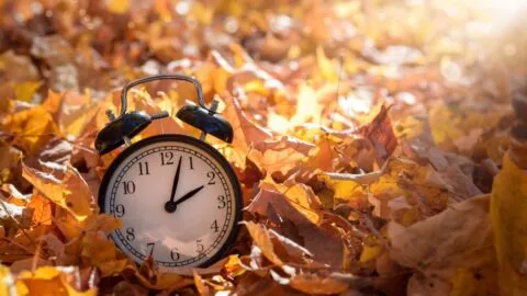Llega el otoño en Estados Unidos: cuándo cambia la hora y se atrasan los relojes