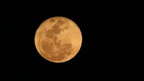 Luna de Cosecha 2026: a qué hora y cómo verla en México este sábado