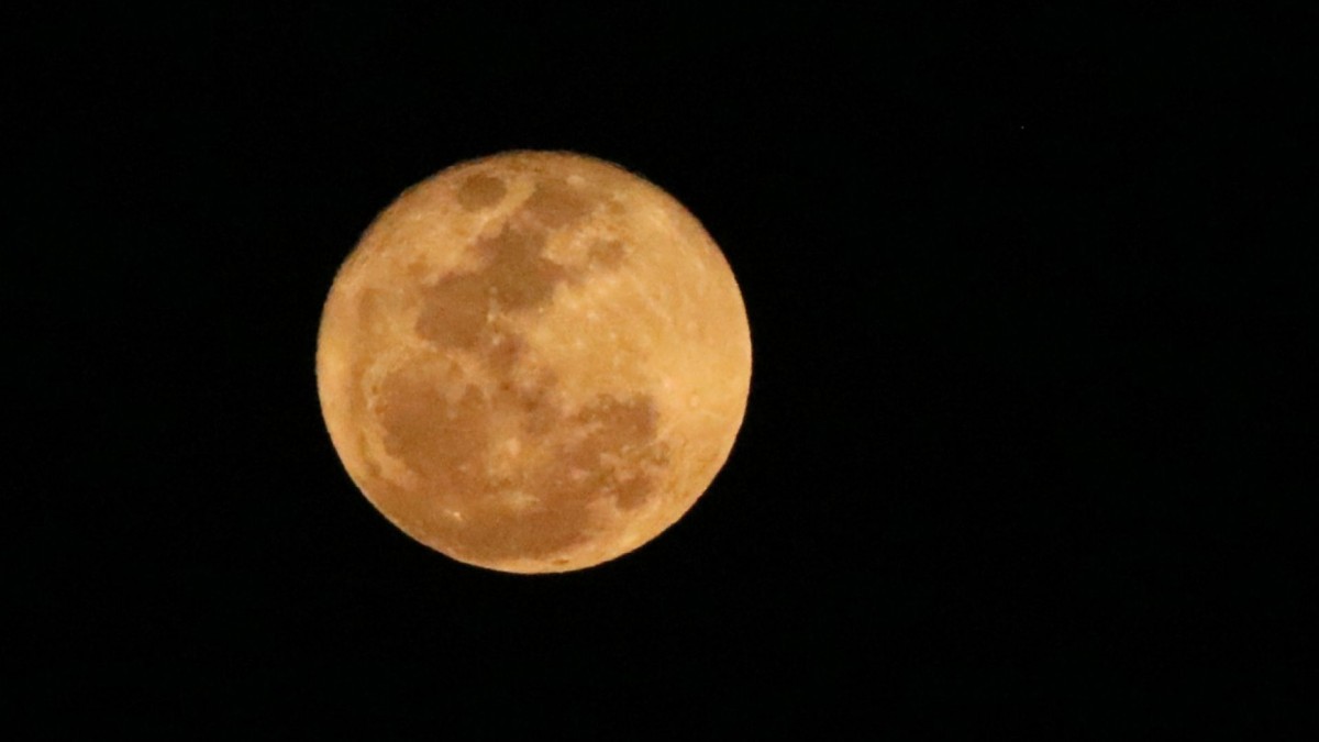 Luna de Cosecha 2026: a qué hora y cómo verla en México este sábado