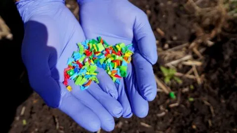 IPN halla microplásticos en sangre y orina de mexicanos; detectan desde fibras hasta compuestos de llantas