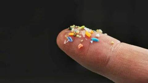 ¿Microplásticos en los pulmones? Estudio encuentra mayor presencia en pacientes con cáncer
