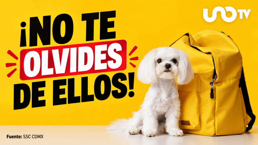 Tus mascotas también deben tener su mochila de emergencia