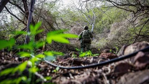 Soberanía, presión y posibles vínculos políticos con el crimen