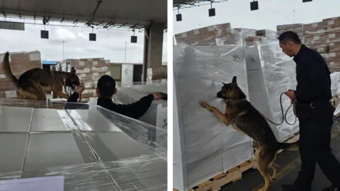 ¡Golpe al narco! Aseguran más de 1.3 toneladas de metanfetamina y 10 kilos de fentanilo en Tijuana