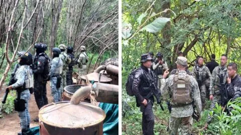 Desmantelan cuatro laboratorios clandestinos de metanfetamina en Guerrero y Michoacán