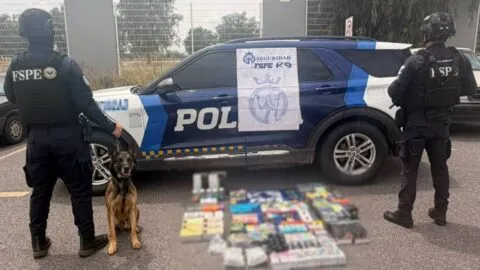 Oficial canino "Chucky" detecta 330 vapeadores, marihuana, gomitas, goteros, pipas y más en paquetería de Salamanca